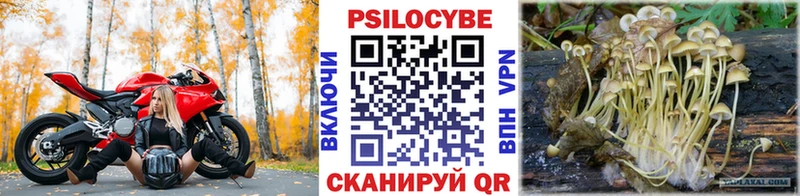 даркнет сайт  Магнитогорск  мега онион  Псилоцибиновые грибы мухоморы 